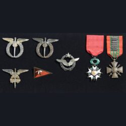 10 Czechoslovak and French Air Force Service Badges and Decoration of Fighter Pilot Alois Vašátko, 1940s