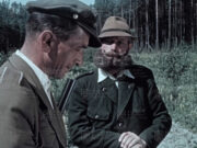 Lesy našich výcvikových prostorů (3)